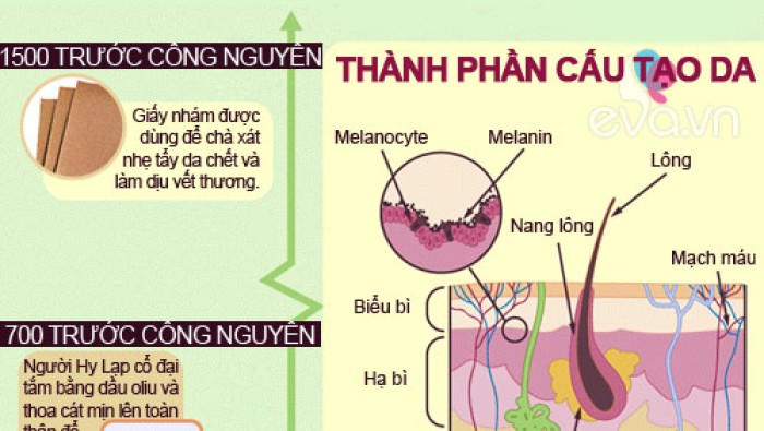 Lịch sử dưỡng da của loài người