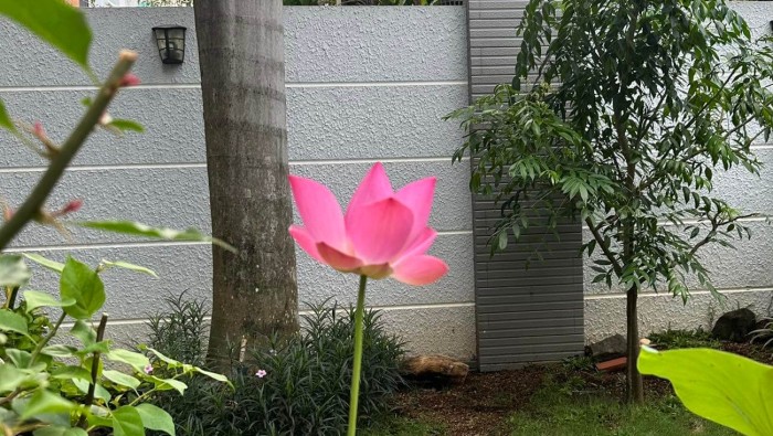 Bác sĩ thẩm mỹ và những câu chuyện ở phòng mổ