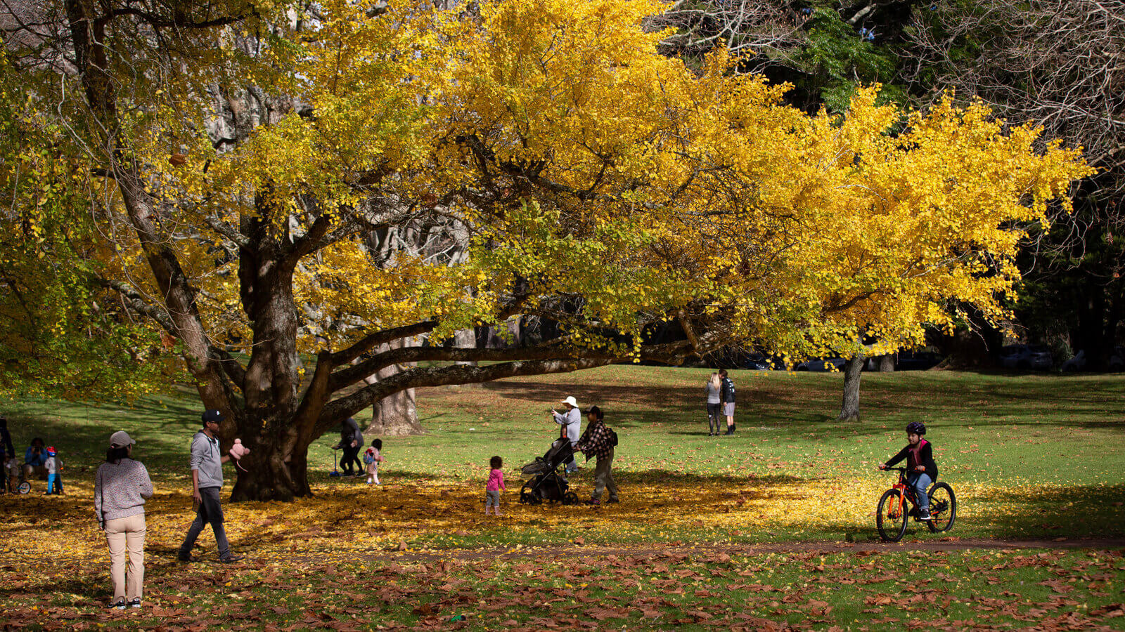 phong bệnh mùa thu