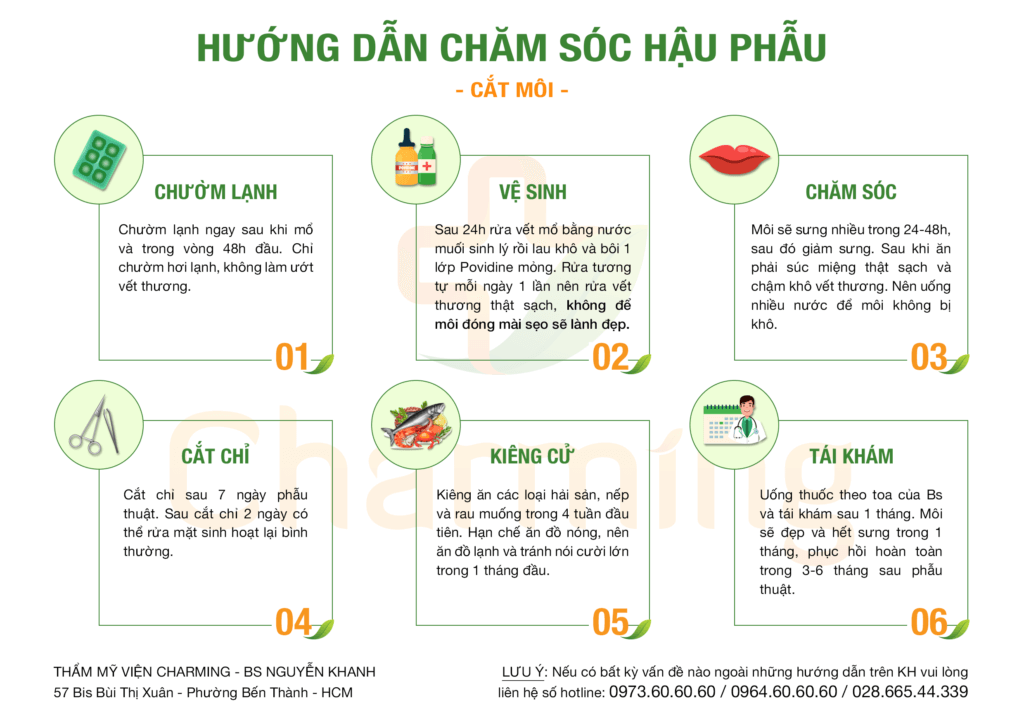 hau hau cat moi